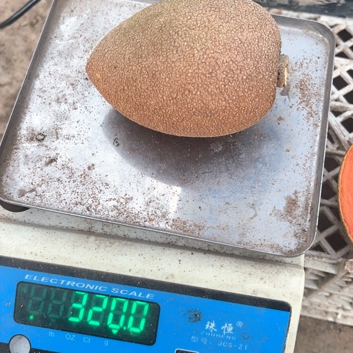 无花朵游**先4799369