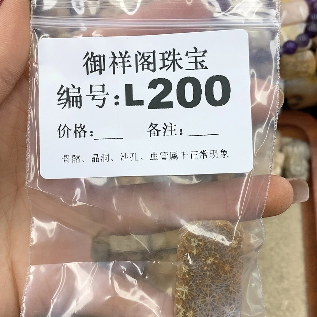 硅化珊瑚（珊瑚玉）L198未镶嵌考*拉