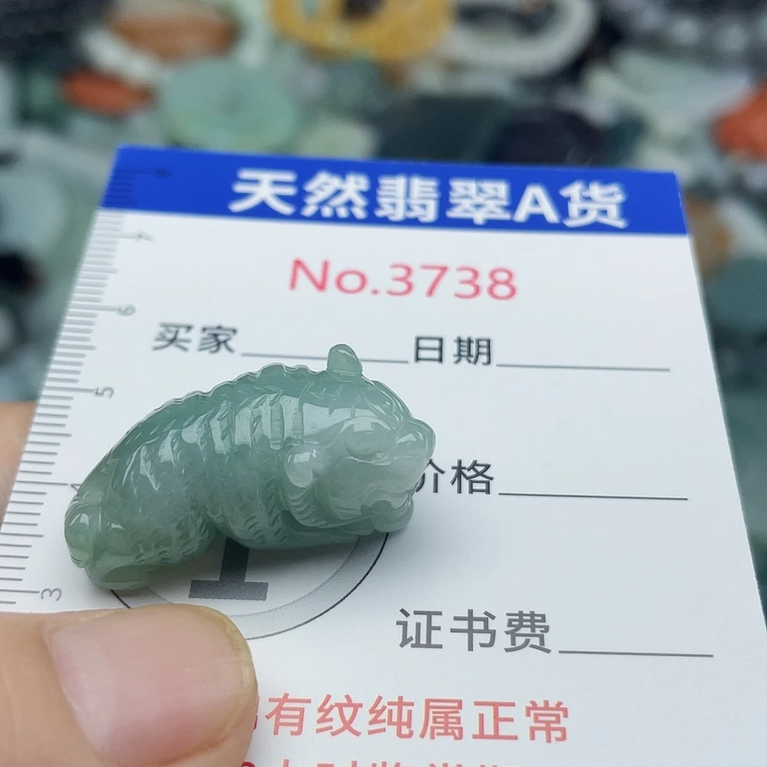 未镶嵌挂件翡翠3738