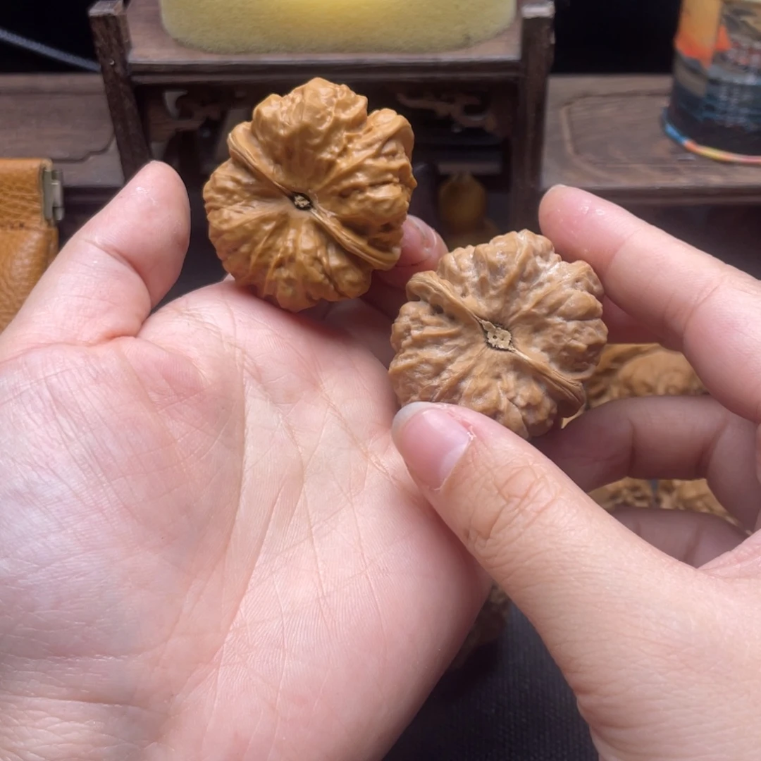 花***志大叶紫檀（黑酸枝木类）