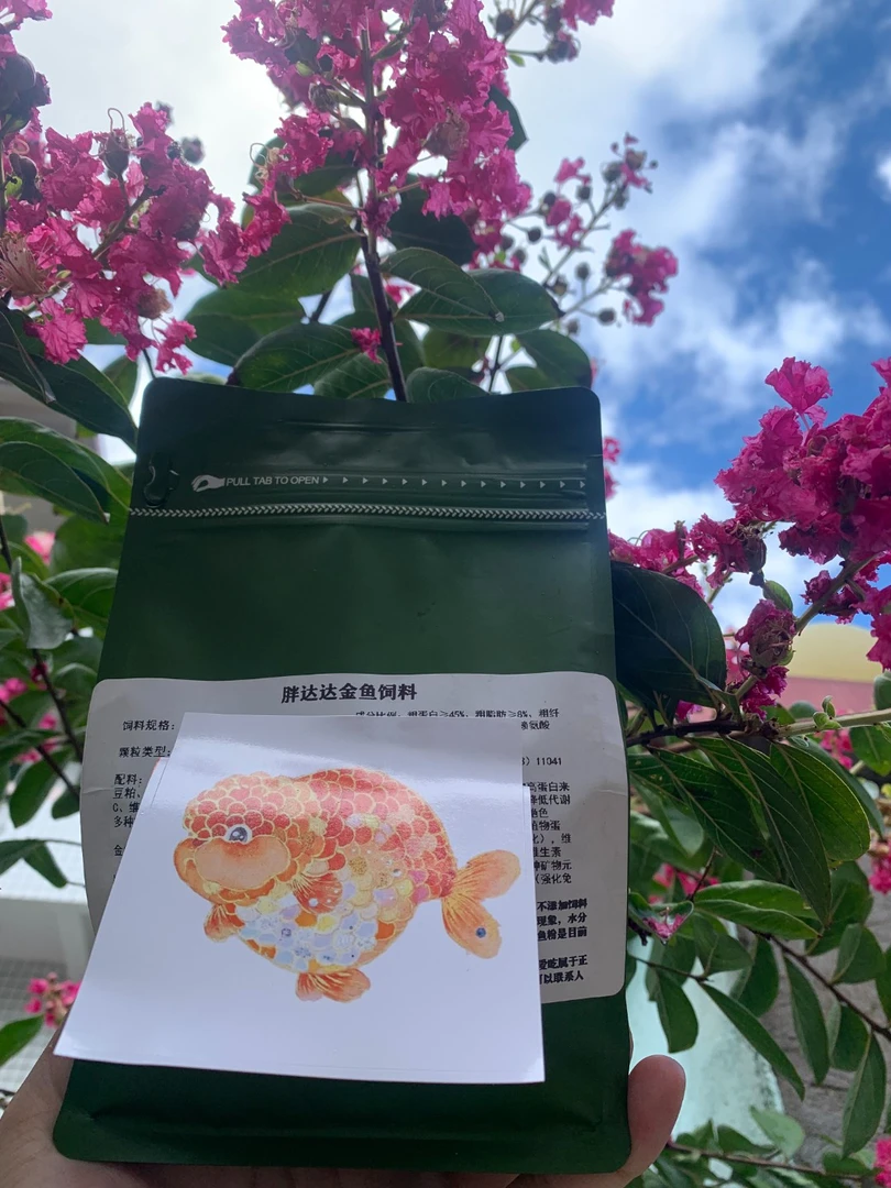 (赠送非卖品)胖达金鱼饲料兰寿饲料真实蛋白纯材料0添加激素色素