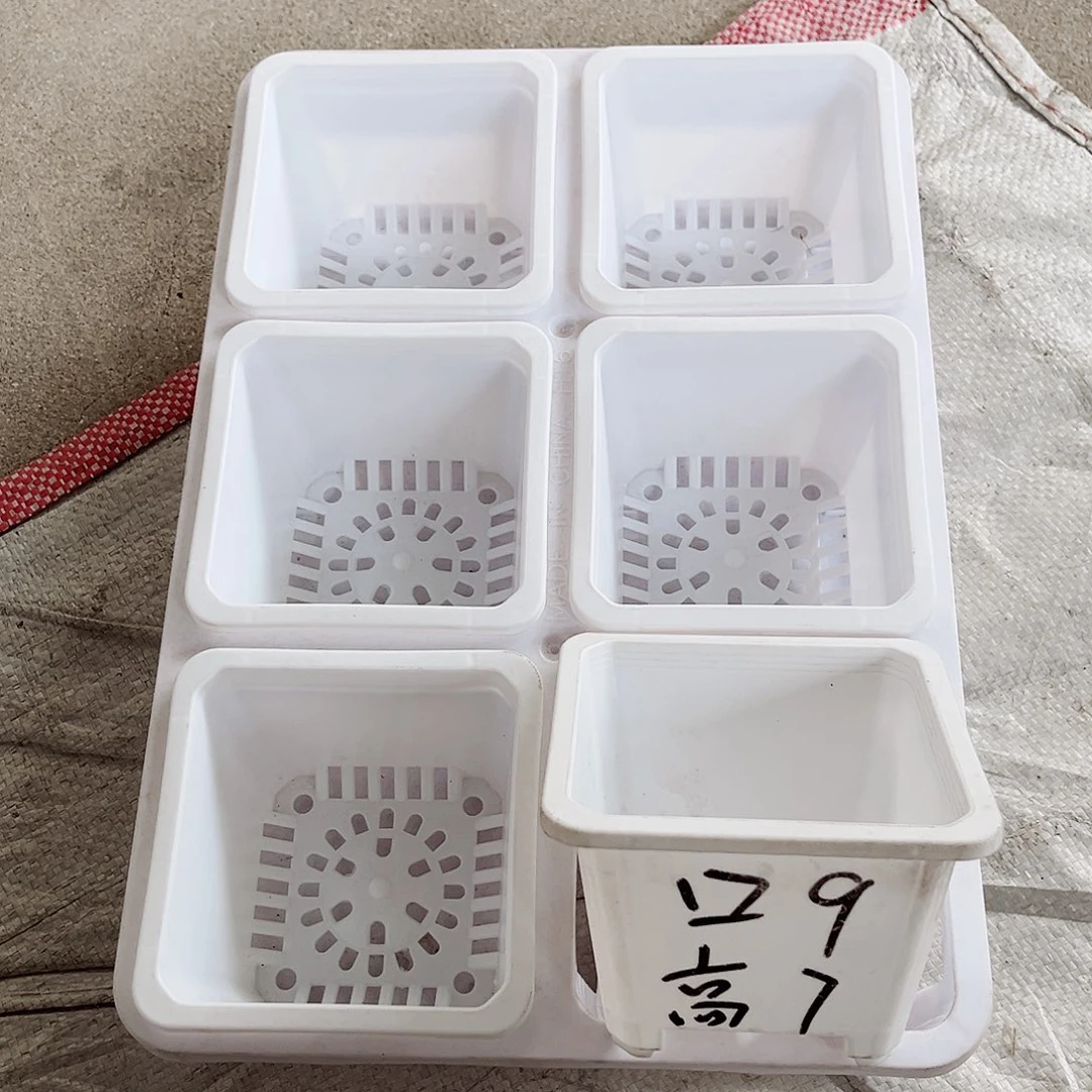 塑料福利款9方白色盆12个带2拖架