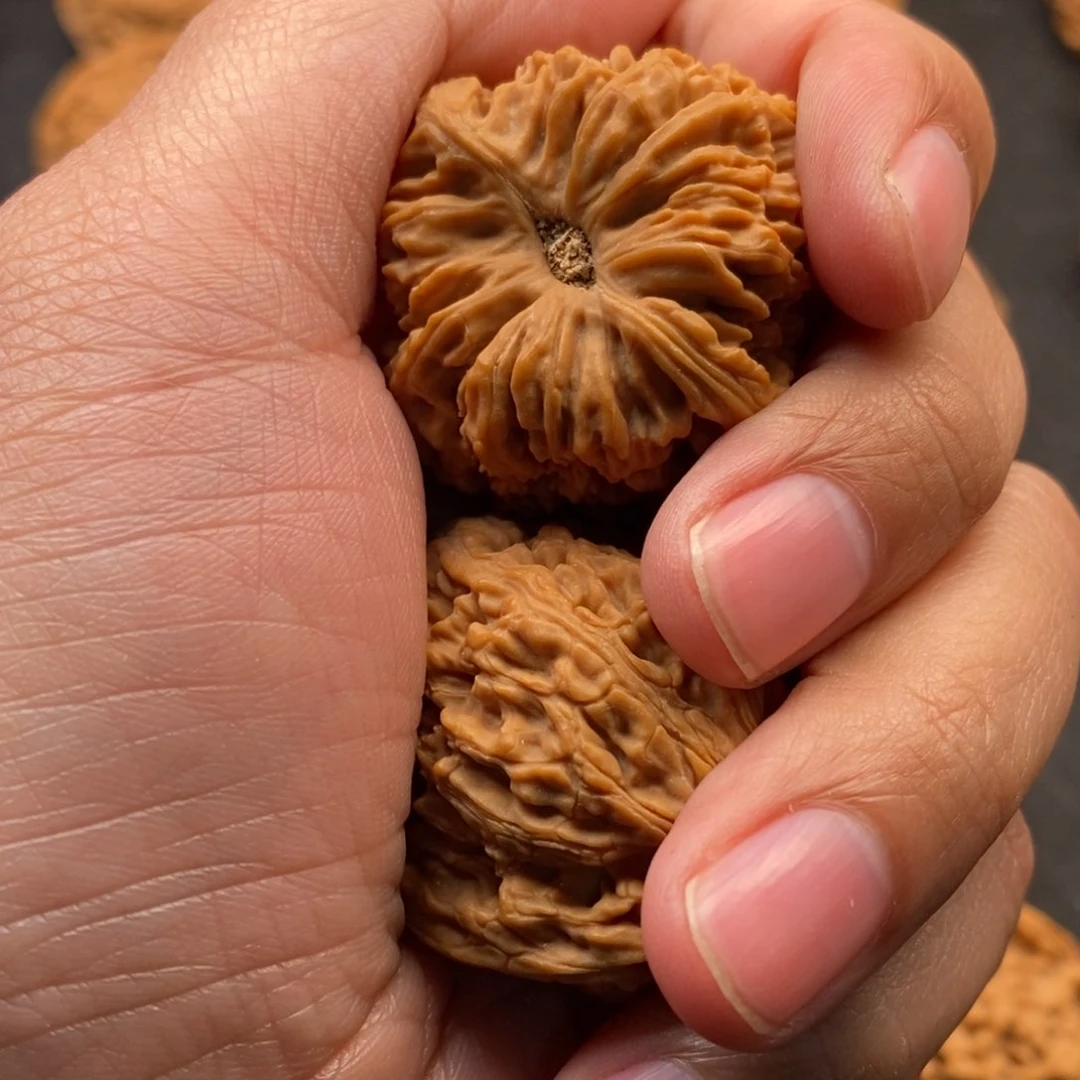 文玩核桃把件西**斯好好