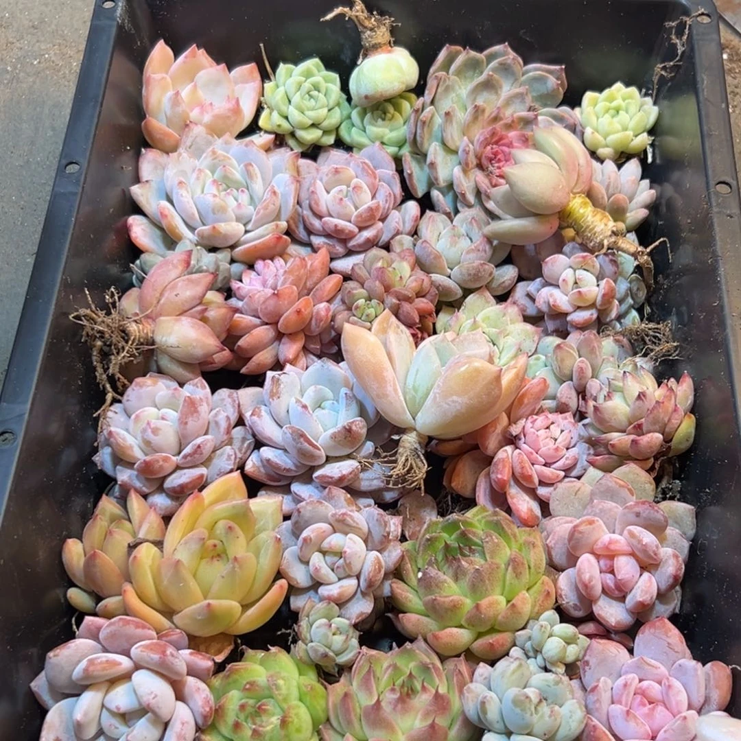 187点点滴滴断断续续下