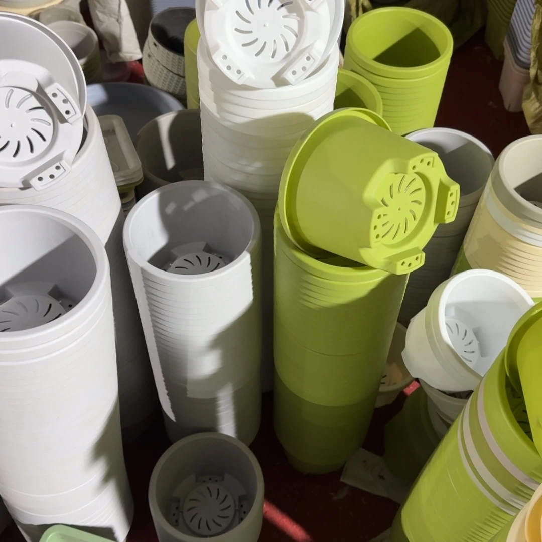 球根1号5个灰白5个果绿口径17高12