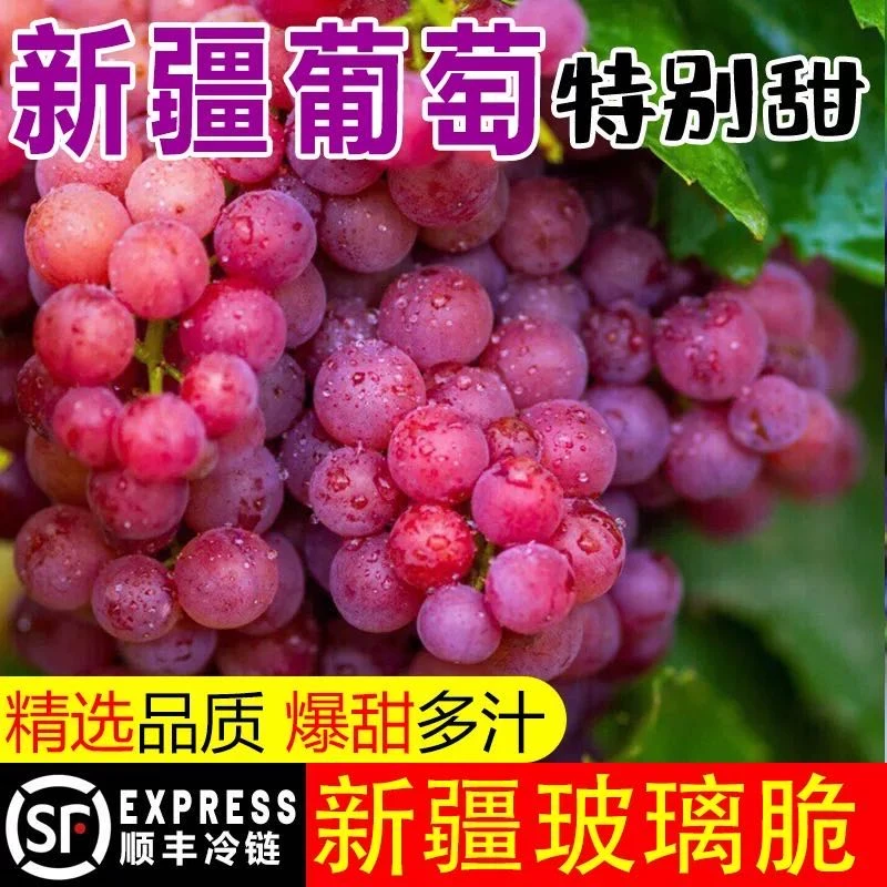 【顺丰冷链】新疆正宗吐鲁番玻璃脆葡萄无籽水果新鲜采摘