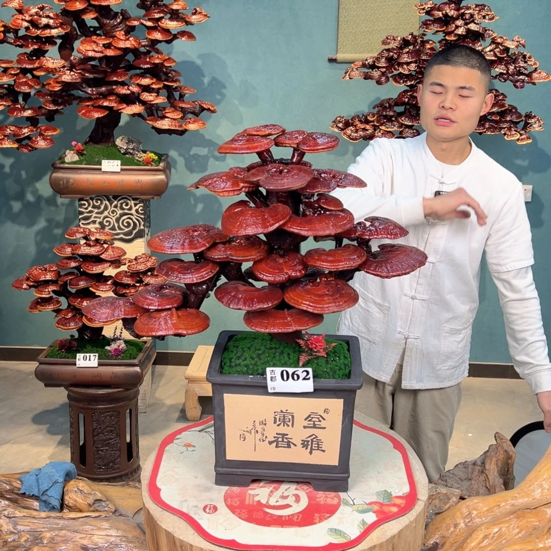 无花朵88888888888