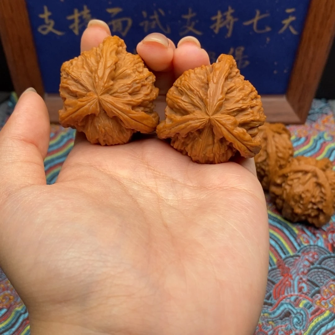 【闪购商品】Y****y白狮