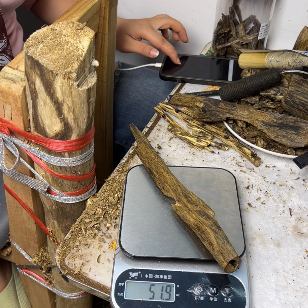 线香奇楠虫漏香51克