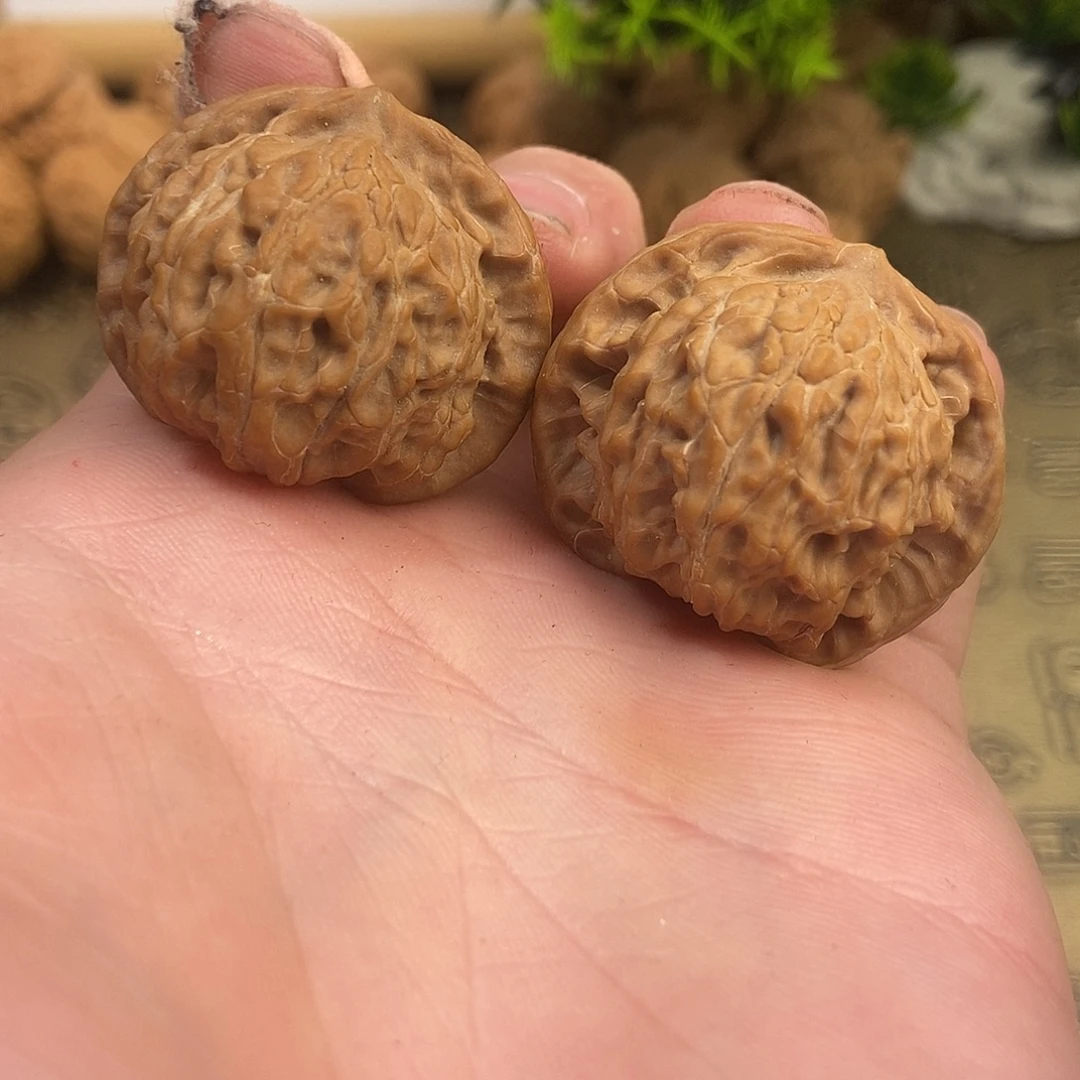 核桃红皮盘山公子帽35尺寸全品无修皮色好