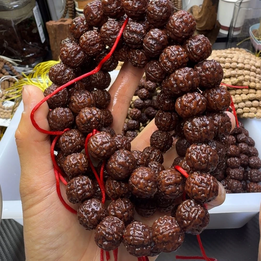 金刚菩提吊坠五星高龙1条单圈  非全品