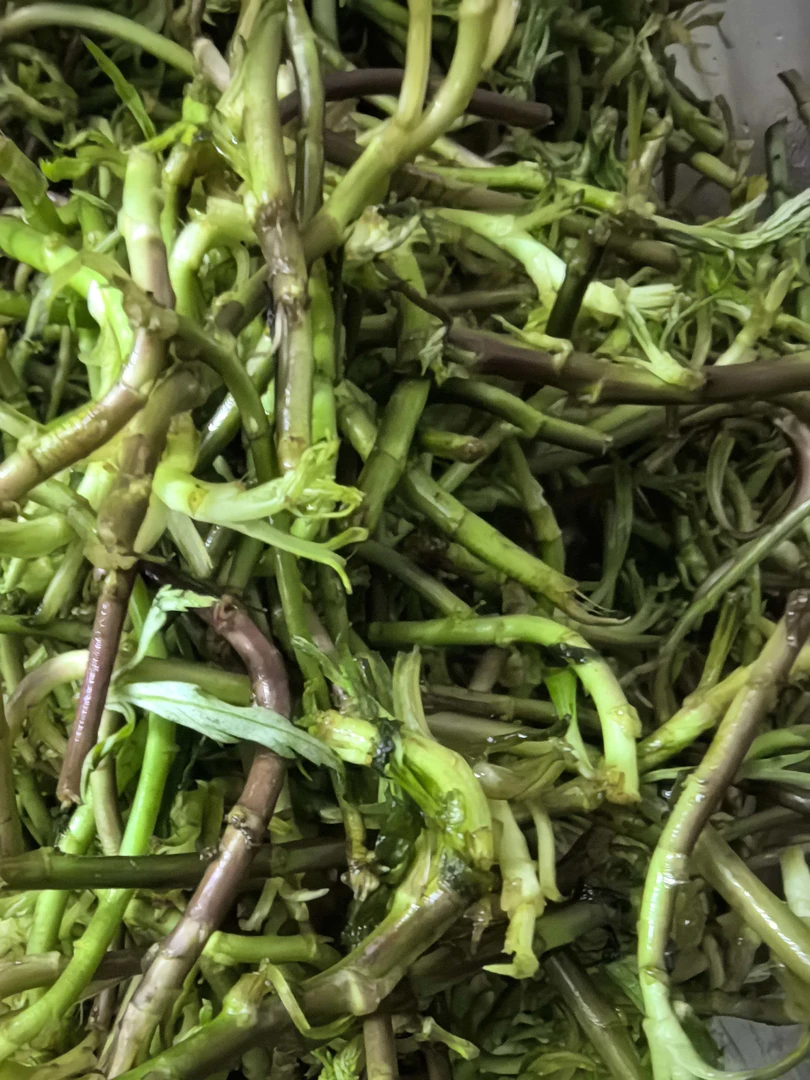 新鲜藜蒿草丨顺丰包邮