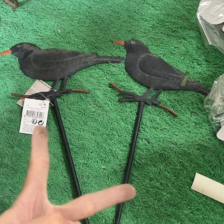炸炸炸炸炸炸炸给力