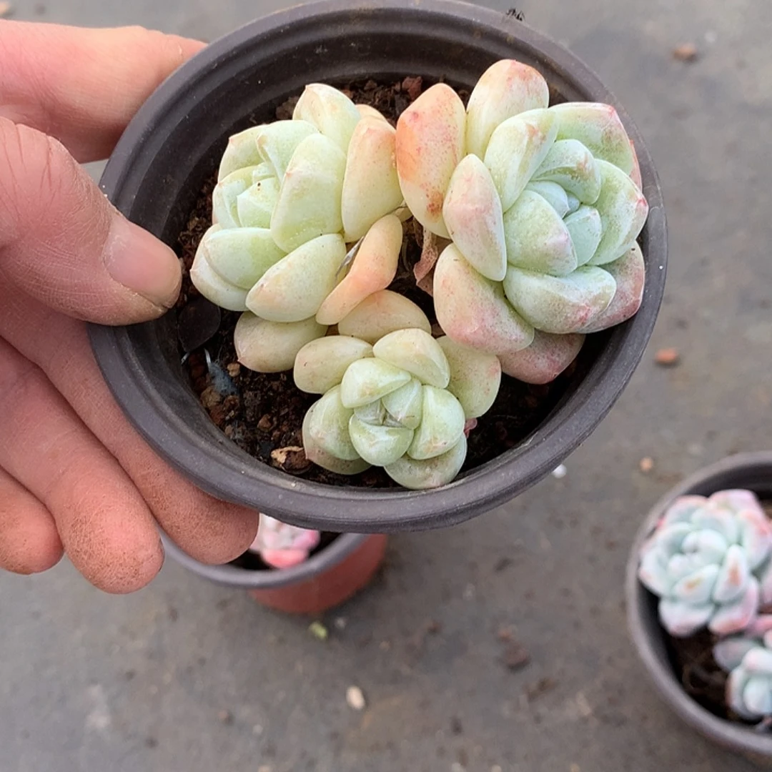 哈哈哈哈哈哈哈哈5