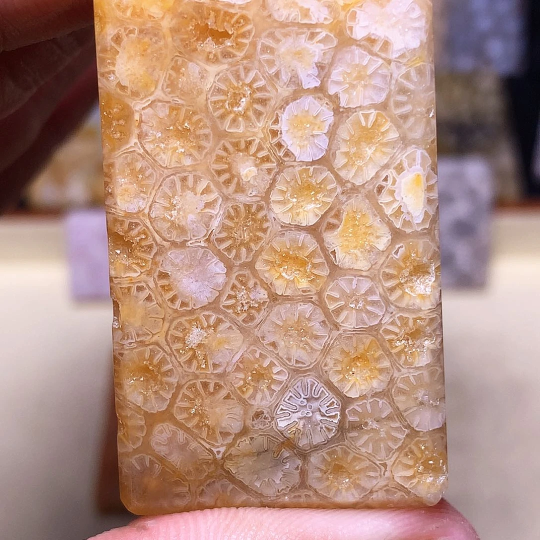 硅化玉珠宝奇石合金哦***豁