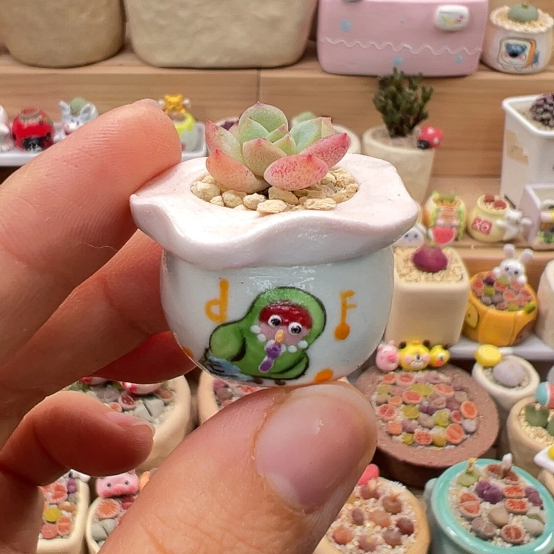 多肉植物160号拇指盆
