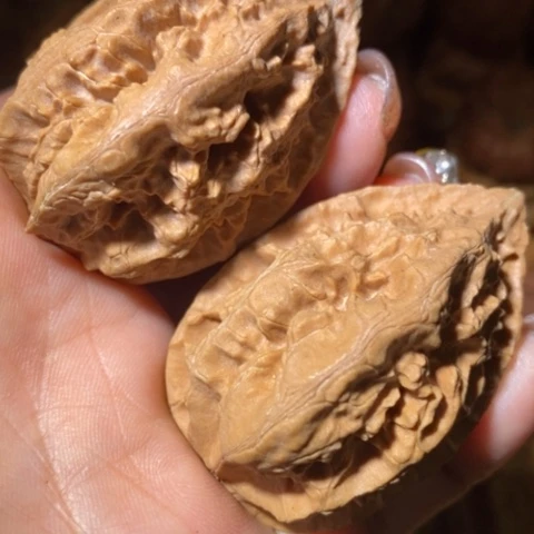 把件文玩核桃东北野生楸子小美98