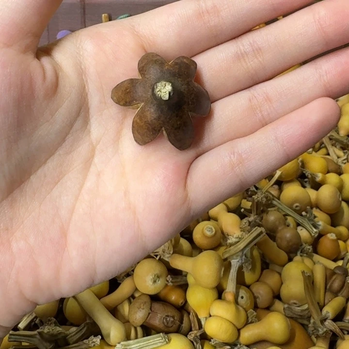 葫芦葫芦葫芦葫芦