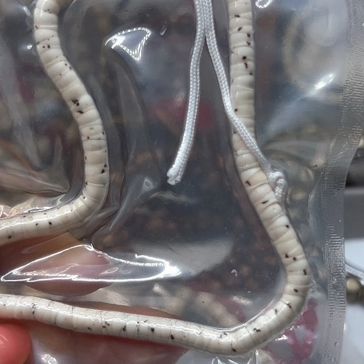 手串星月菩提一颗星大肠5