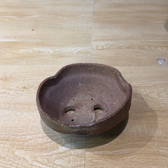 红陶M**~17/7/////////