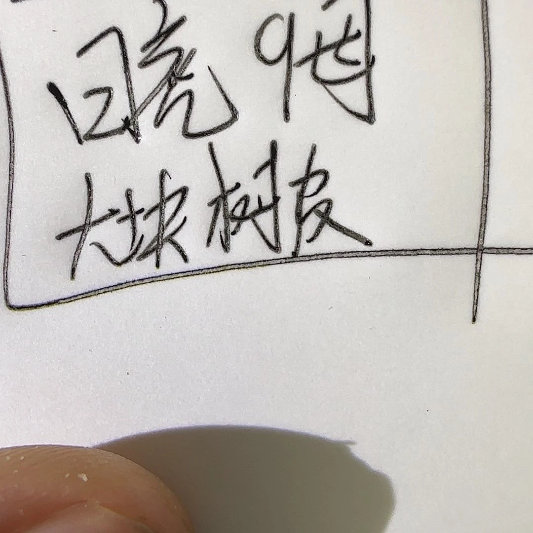 跳蛛c****i委内瑞拉太阳虎