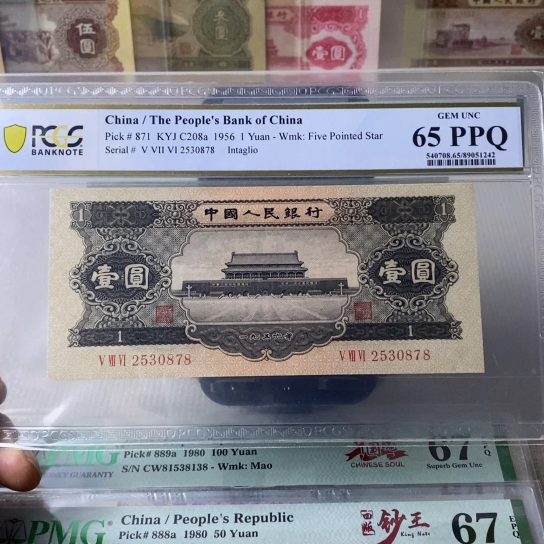 黑一元65分无4尾878