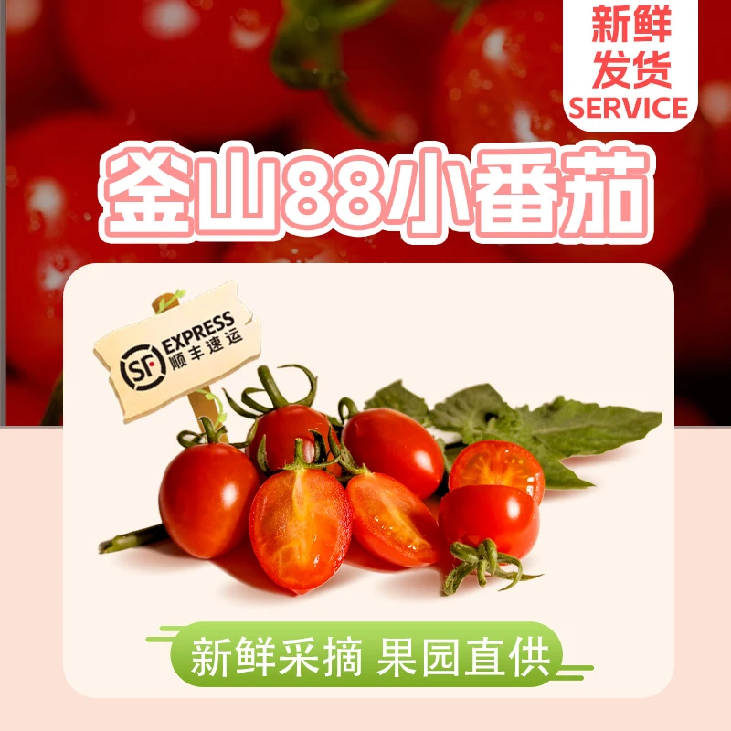 【试吃1斤装】平度正宗釜山88玲珑小番茄樱桃番茄西红柿圣女果