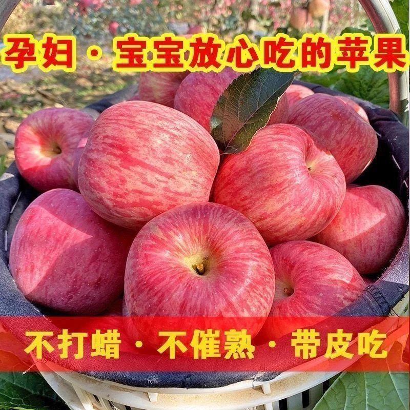 红将军苹果 当季新鲜现摘 脆甜多汁 果香浓郁