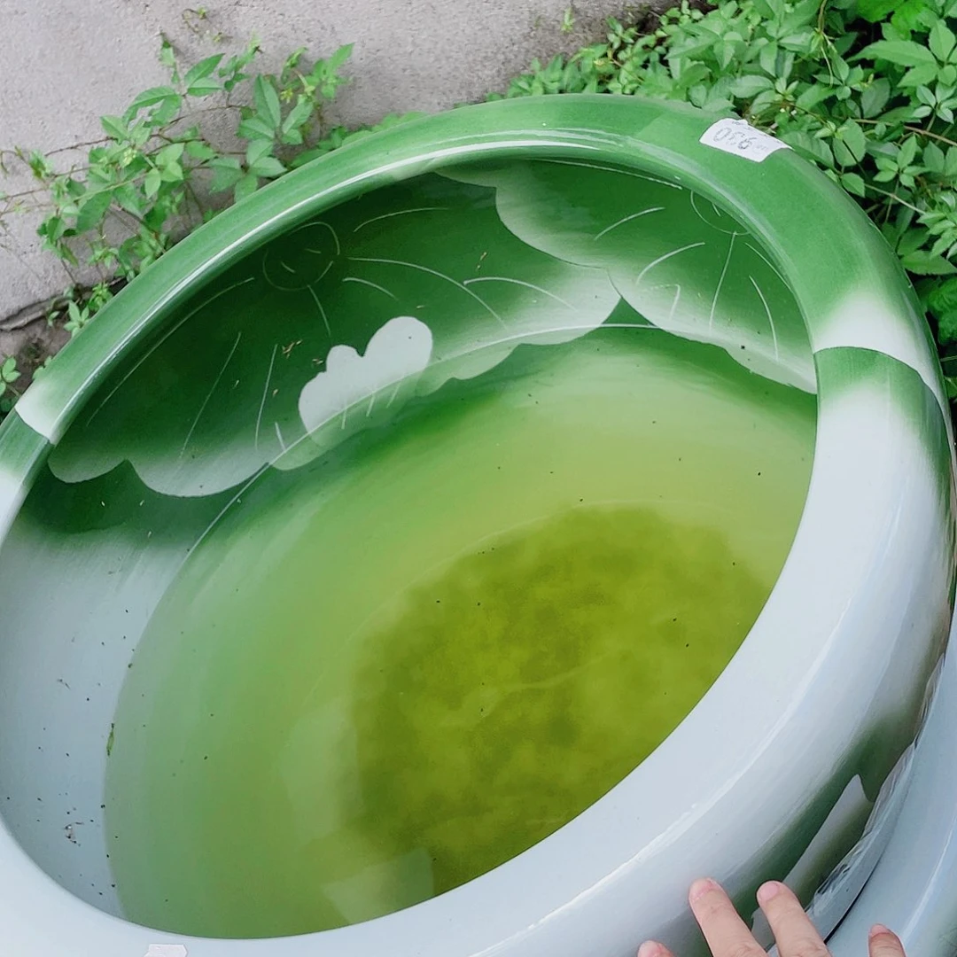缸兵裂纹绿荷花瓷器瓷器瓷器930