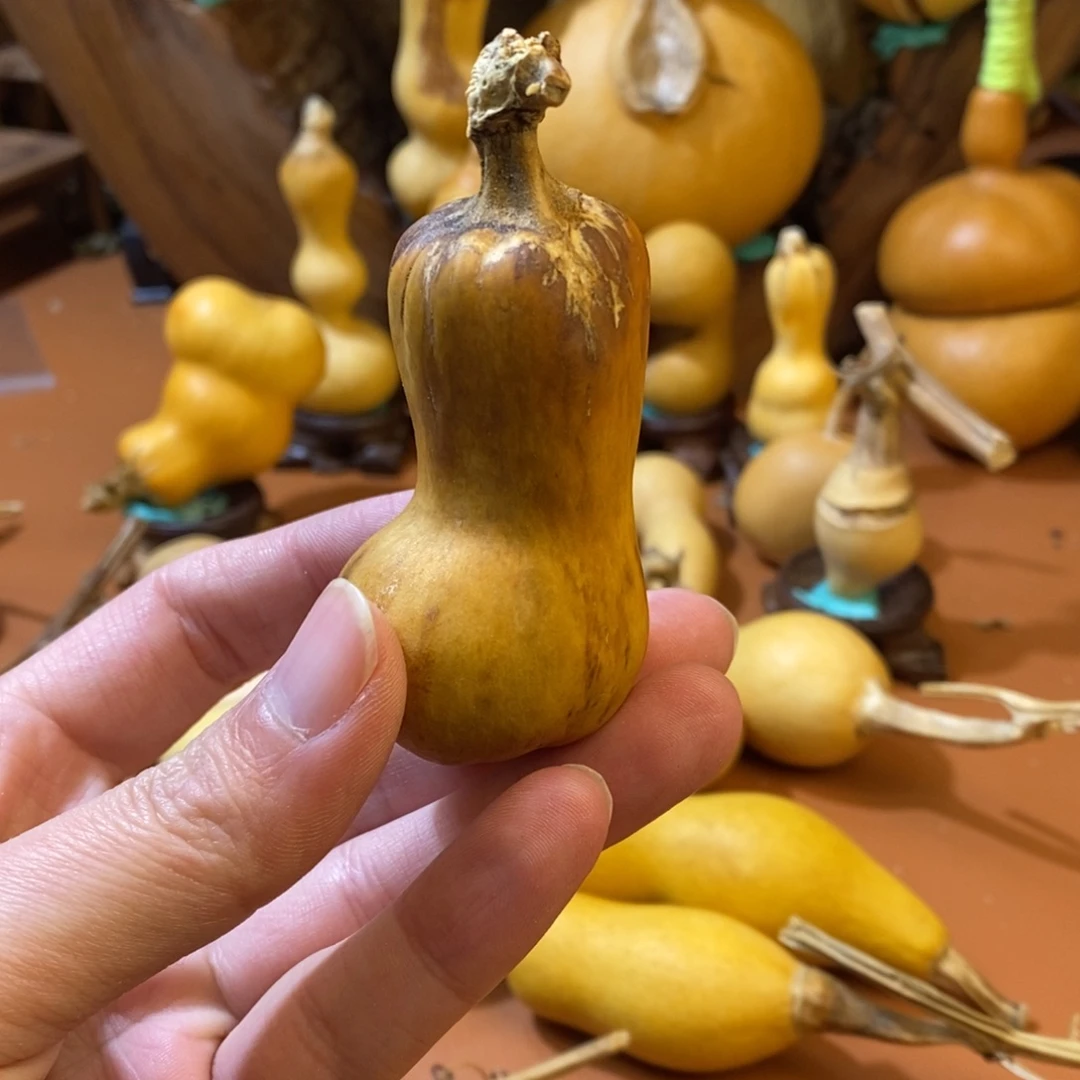 教练教练教练教练咯教练