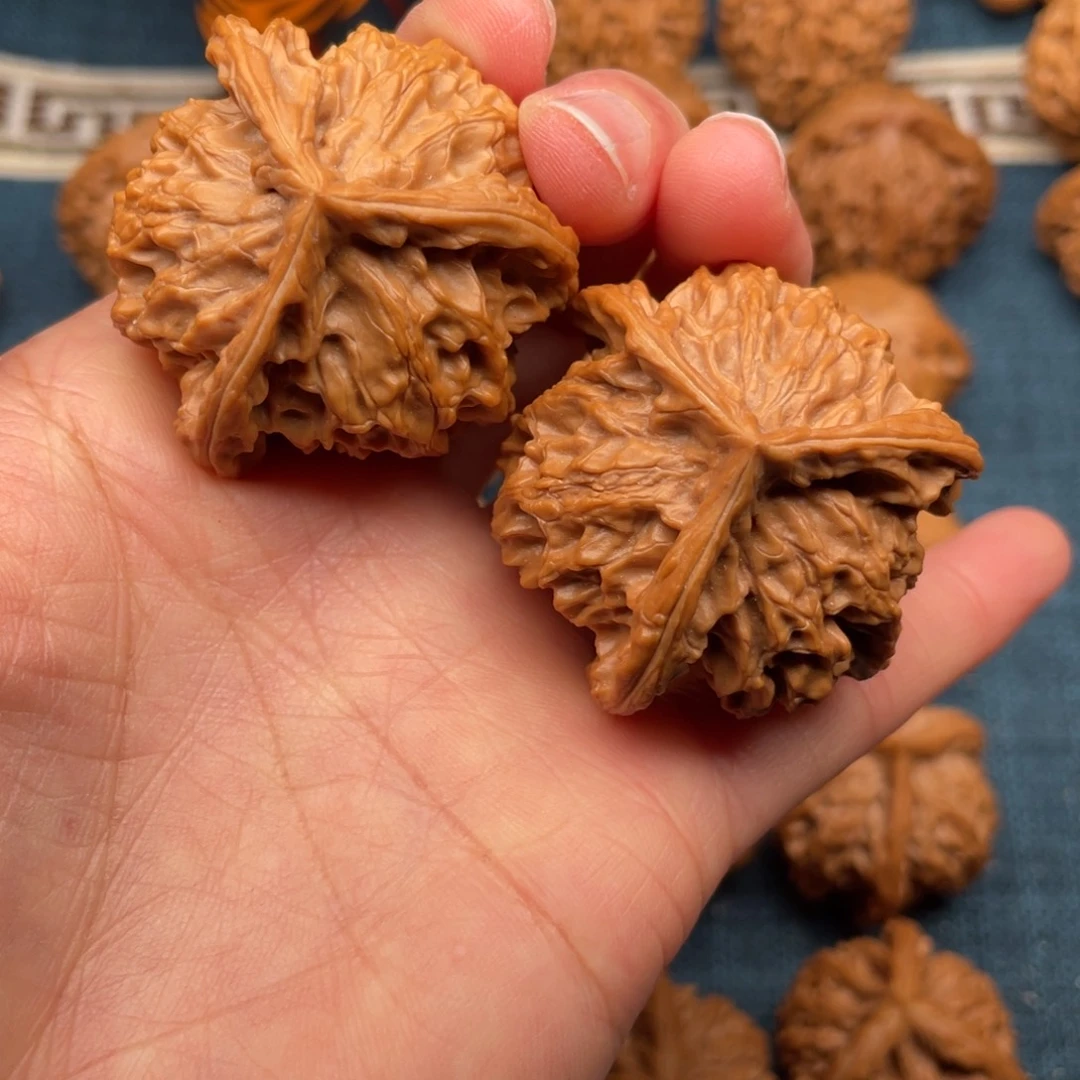 文玩核桃把件43全品毕业矮桩正奔