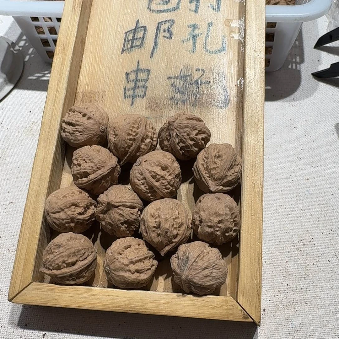 核桃手串/手链41号边23肚26高25