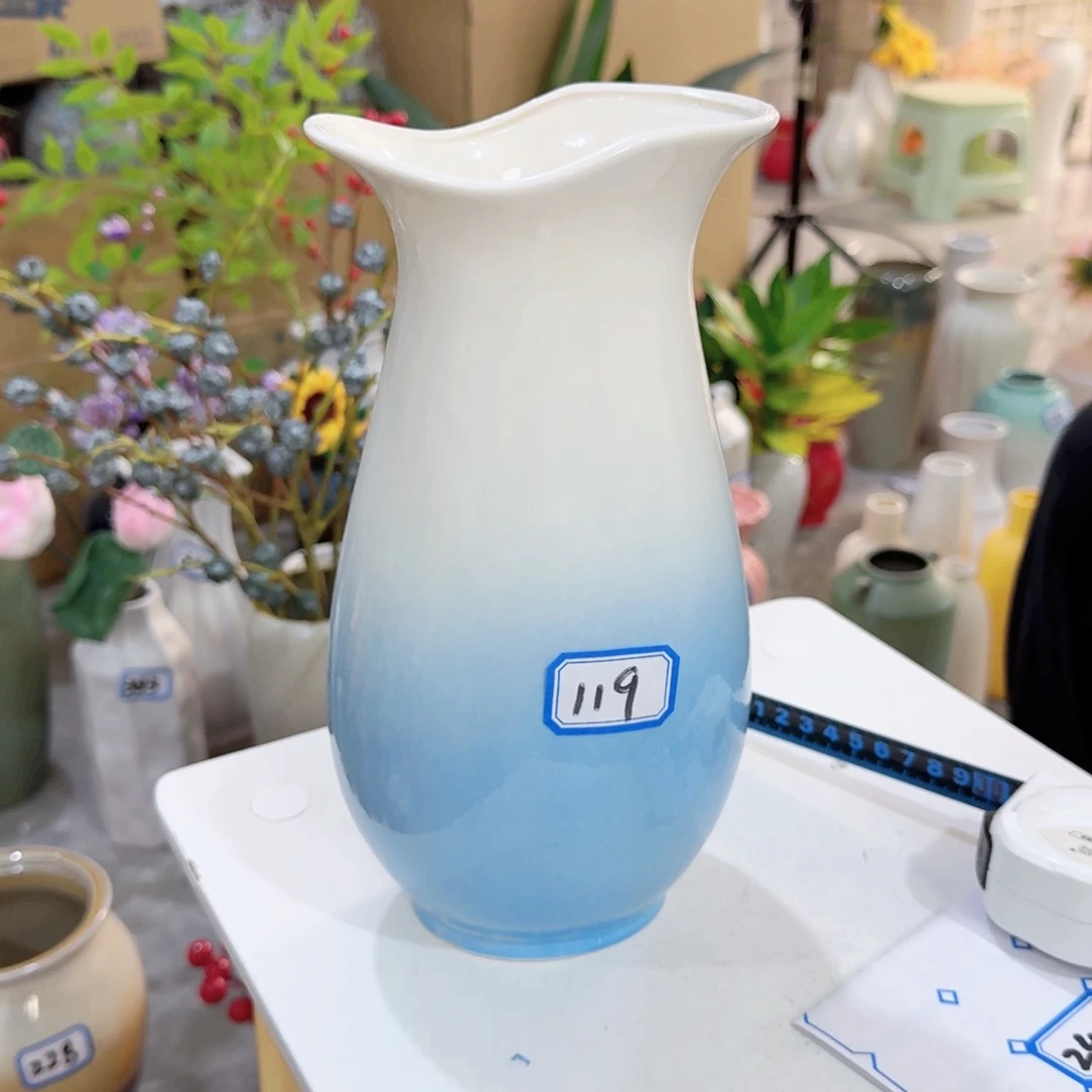 小***阳119号陶瓷高24厘米清理一个