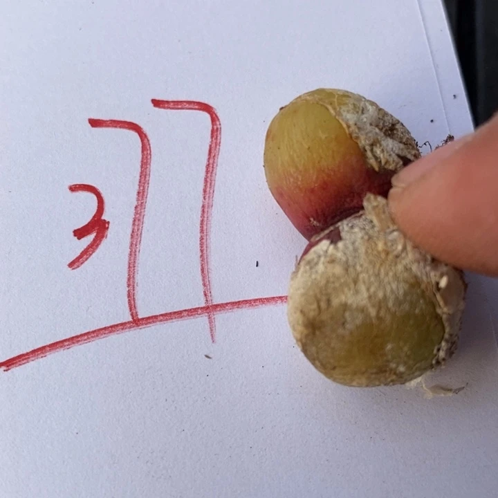 377一个一个一个