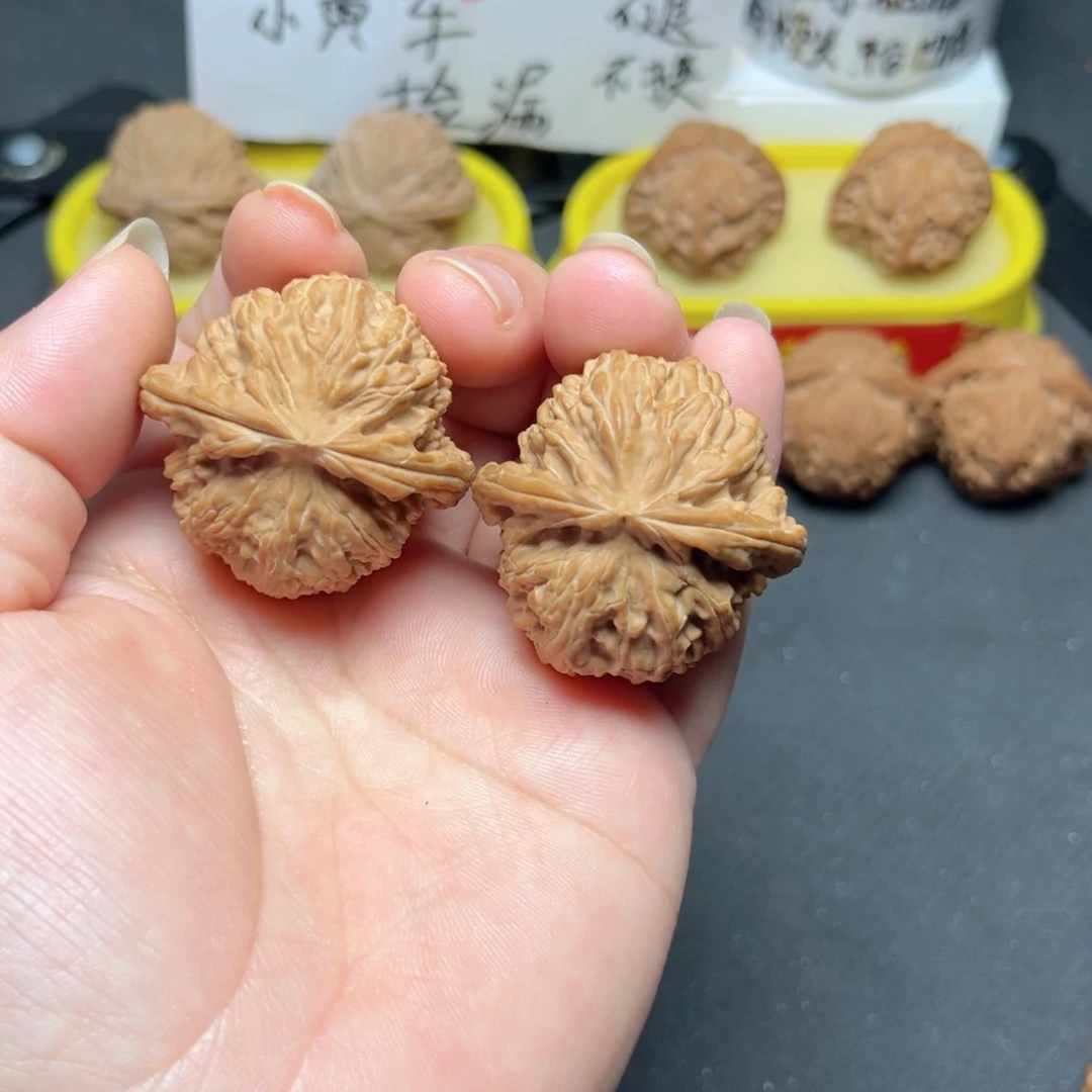 文玩核桃一物一拍37尺全品白狮子