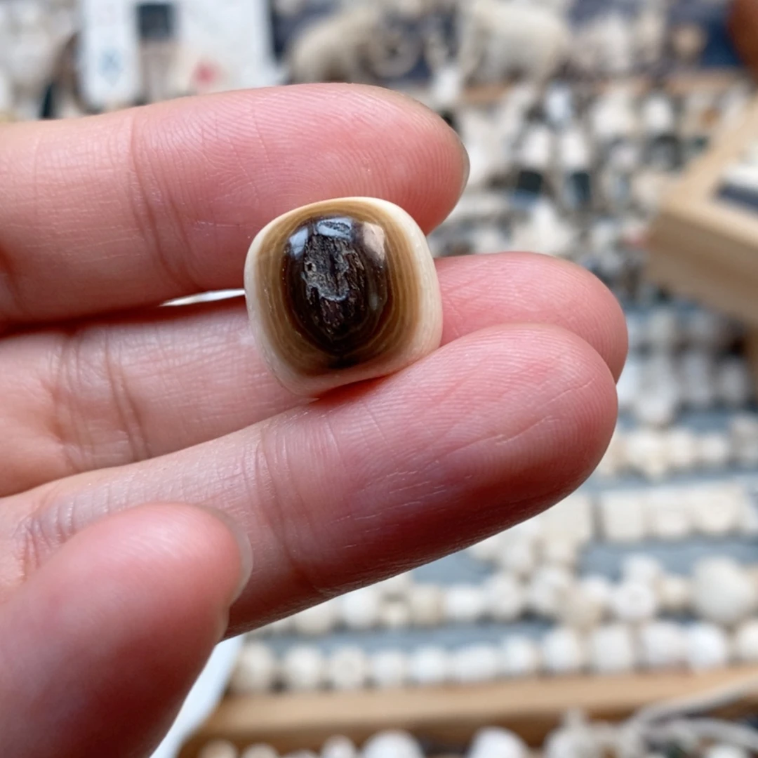 【闪购商品】无非金属猛犸牙15/13