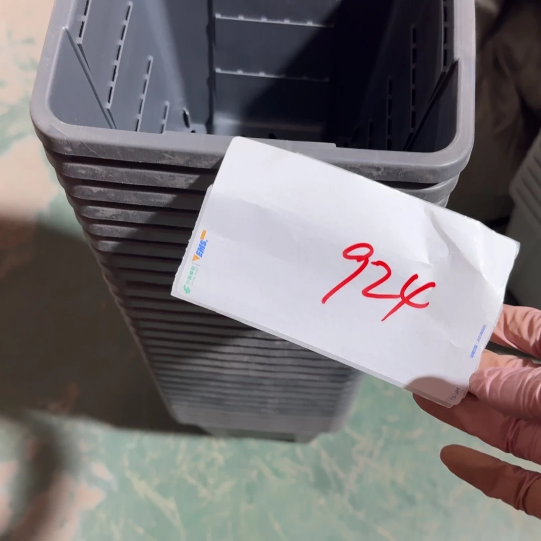 编号924-10个微瑕