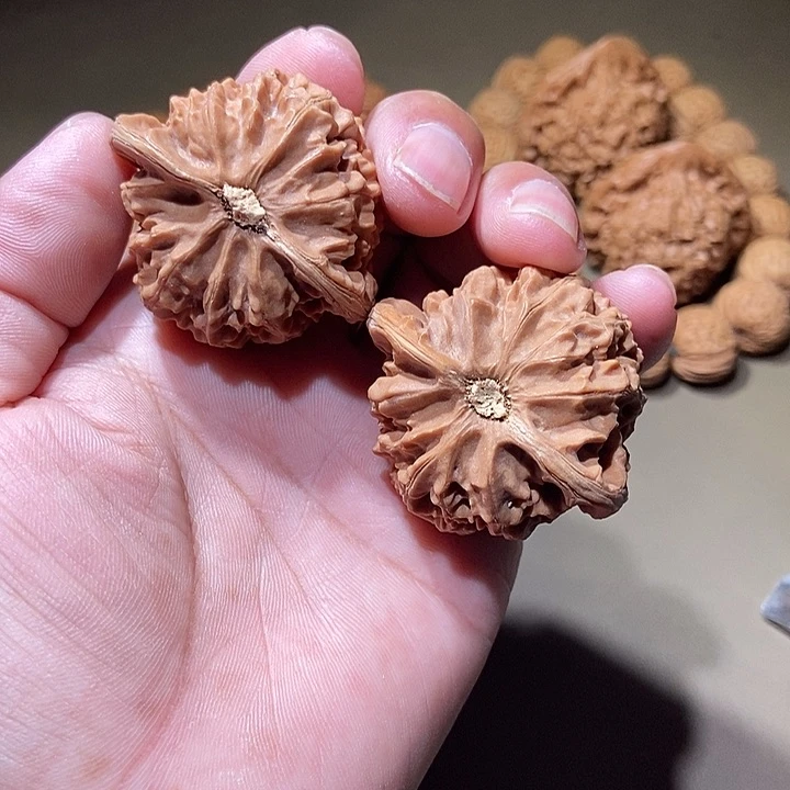 把件文玩核桃宫灯狮子头