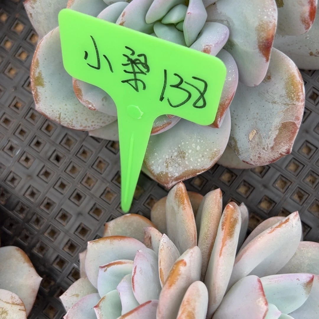小***睡小梁。138。