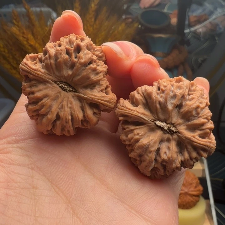 途***达把件桃核三角疆 全品38