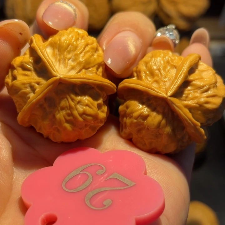 龙骨核桃核桃尺寸34