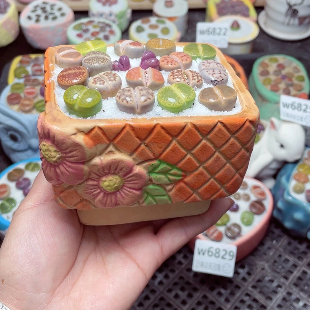 w6831 -零下地区拍保温箱-15支持寄养