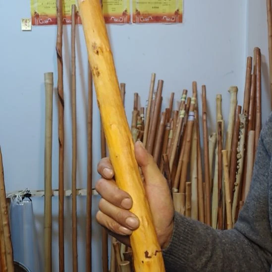 华***i秦岭石山红荀子，牛筋木