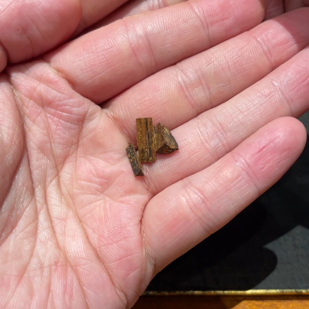 宁***远沉香吊坠海南油结绿棋楠0.25g