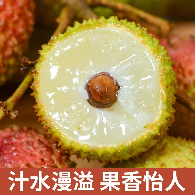 【顺丰冷链】2025广东妃子笑荔枝当季头茬新鲜水果现摘产地直发