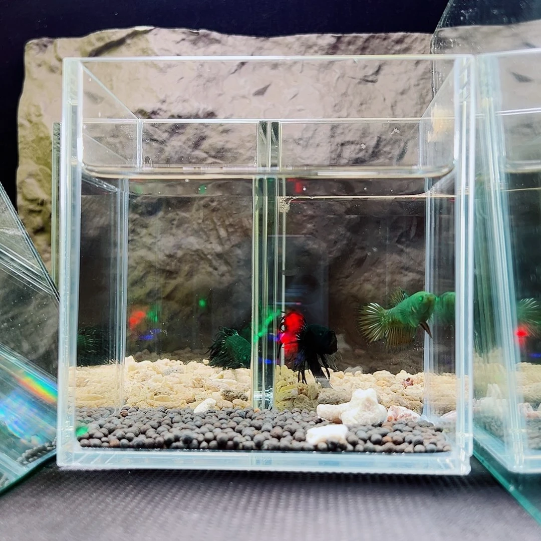 斗鱼精品精品可怕精品