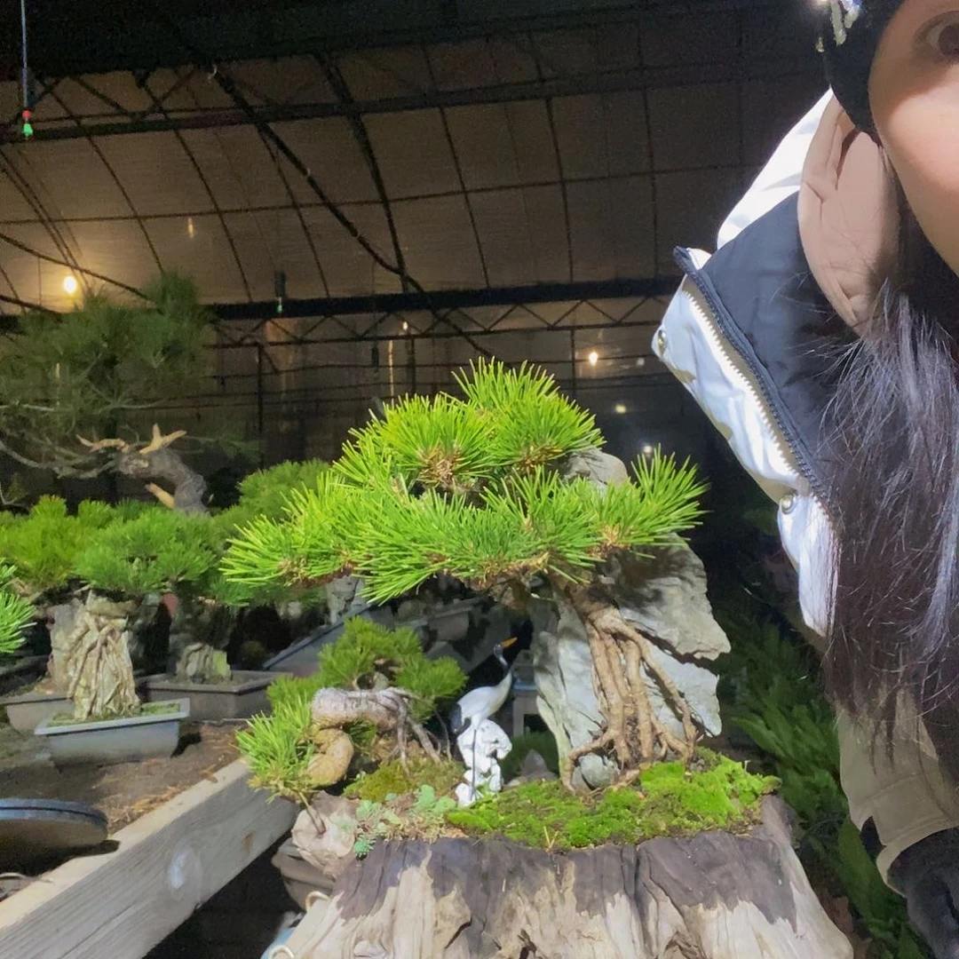 无花朵j****n三河 88888888