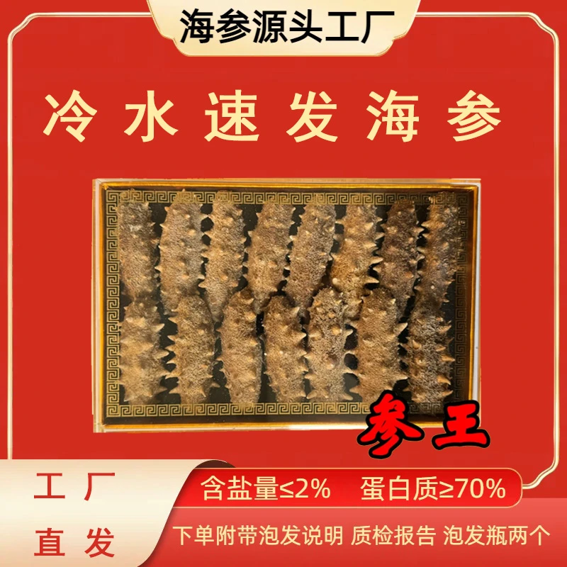 【参王速发海参】冷水速发20小时辽刺参滋补养生纯淡干海参 30头
