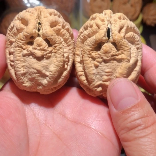 文玩核桃把件乾坤鬼脸核桃