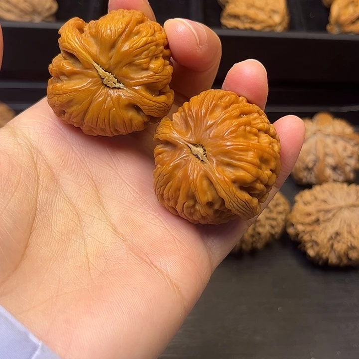 核桃秦岭突突突突突突6